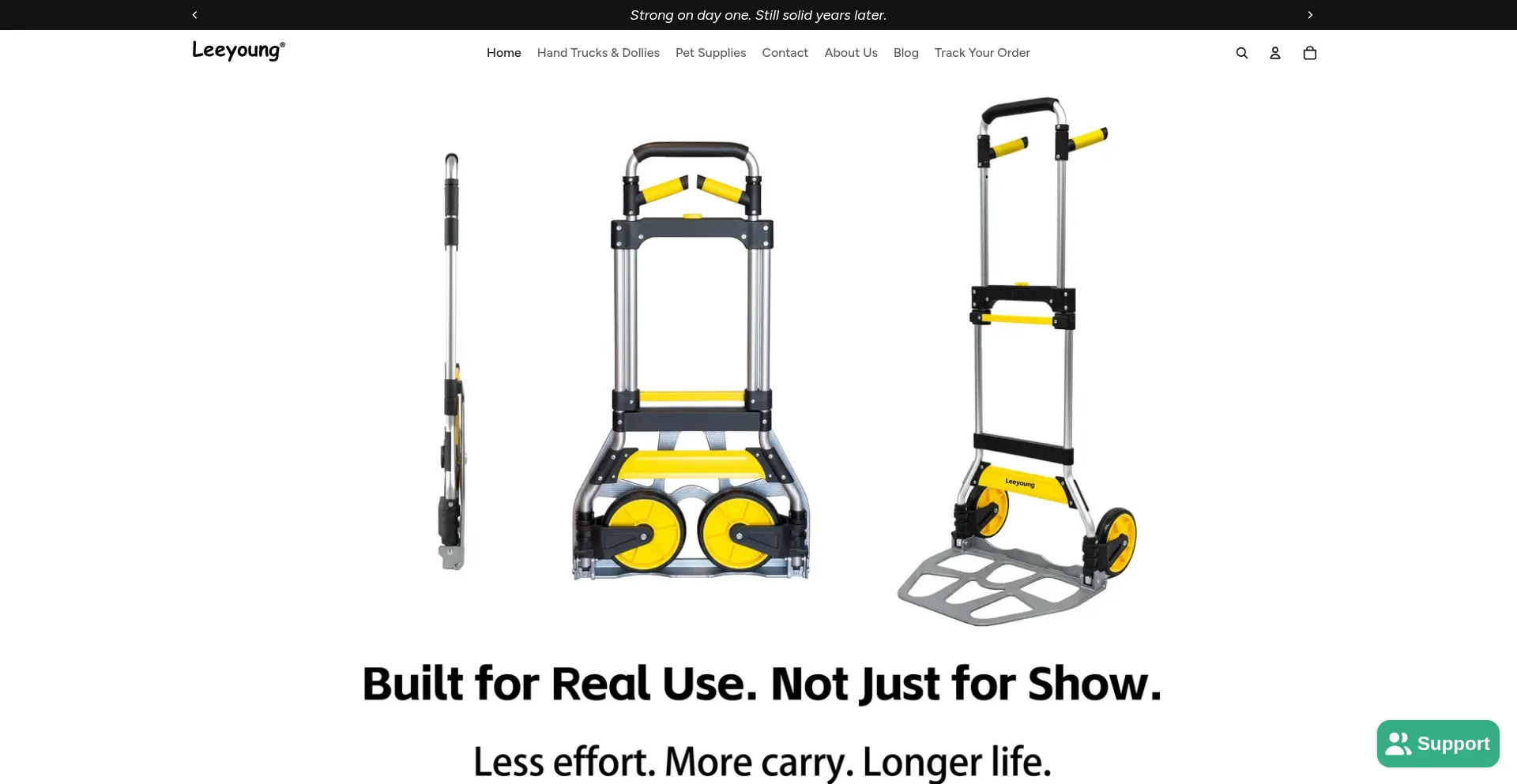 Leeyoungstore.com