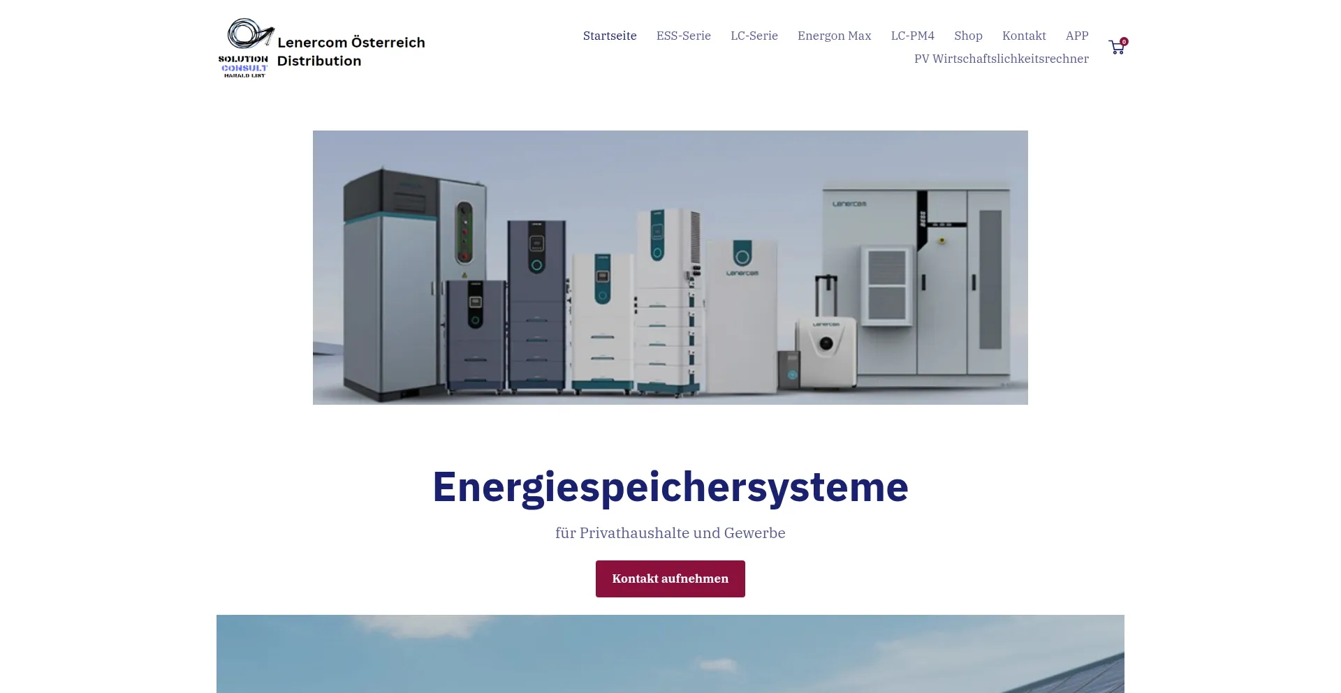Website screenshot of Lenercom.at