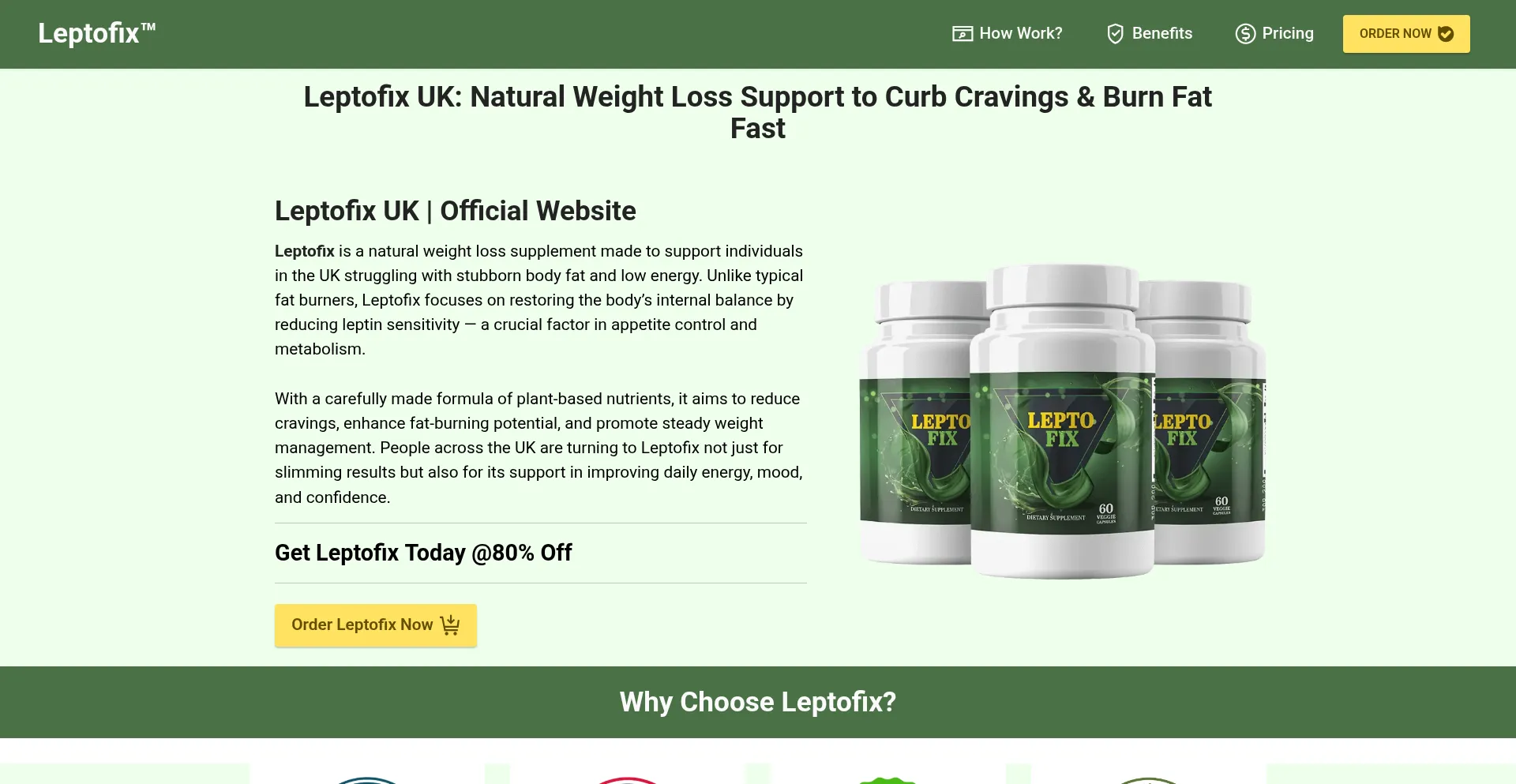Website screenshot of Leptofix.uk