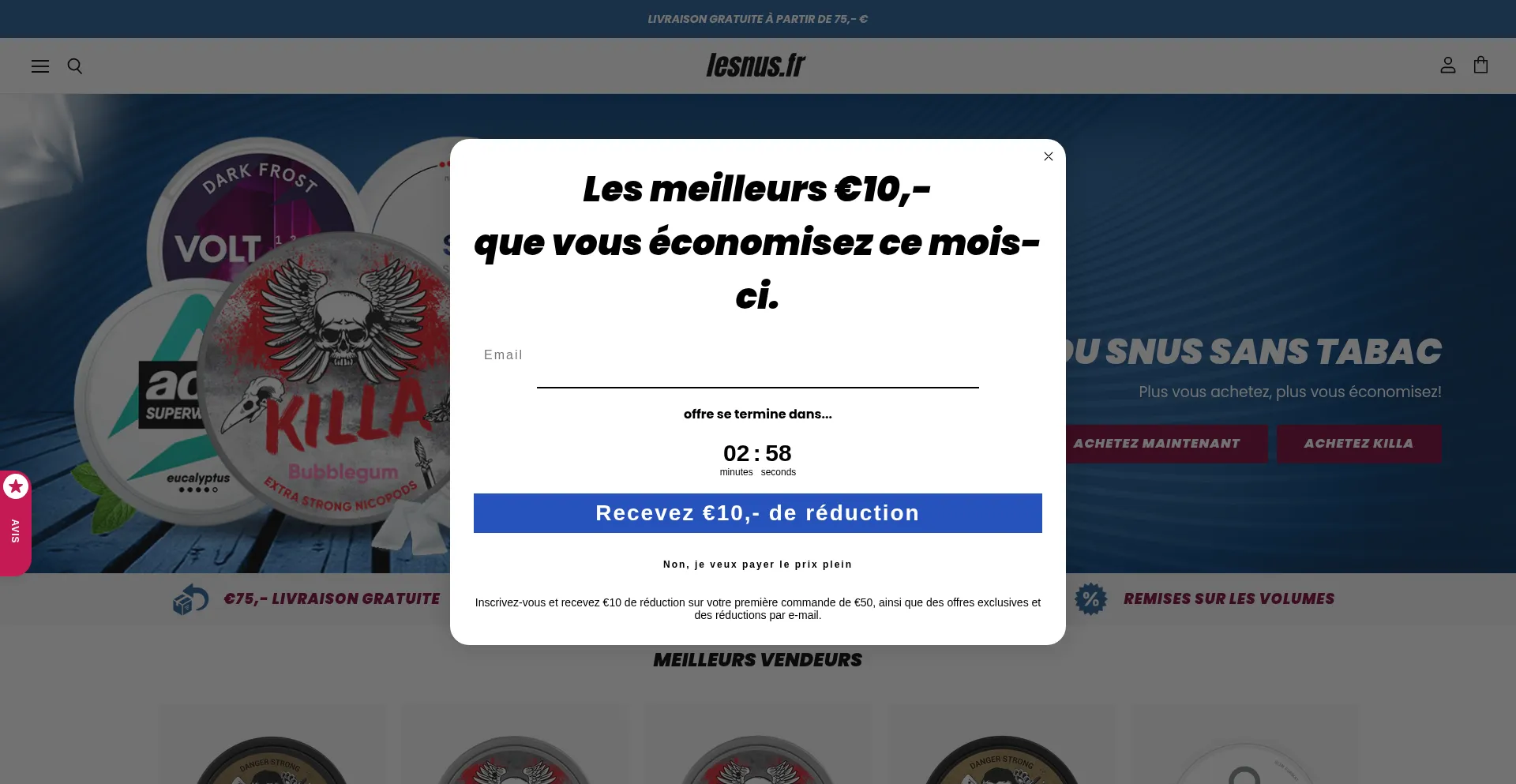 Website screenshot of Lesnus.fr