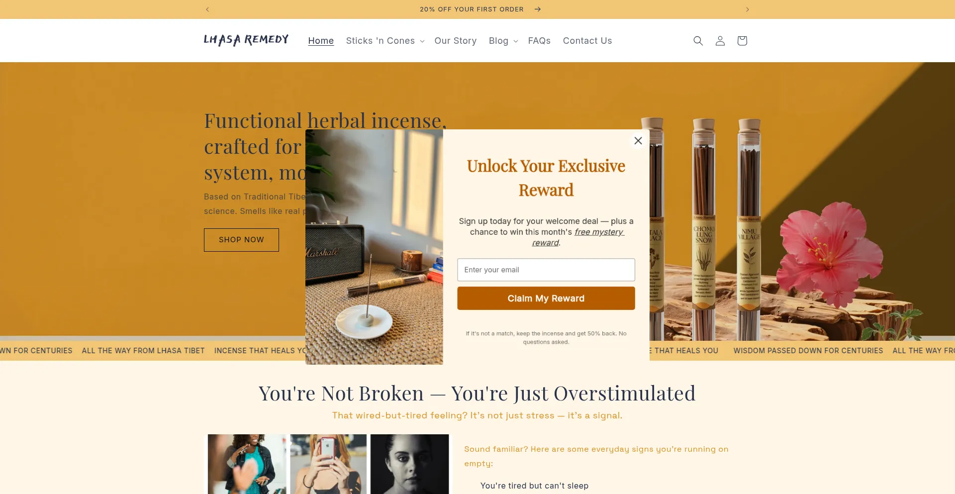Website screenshot of Lhasaremedy.com