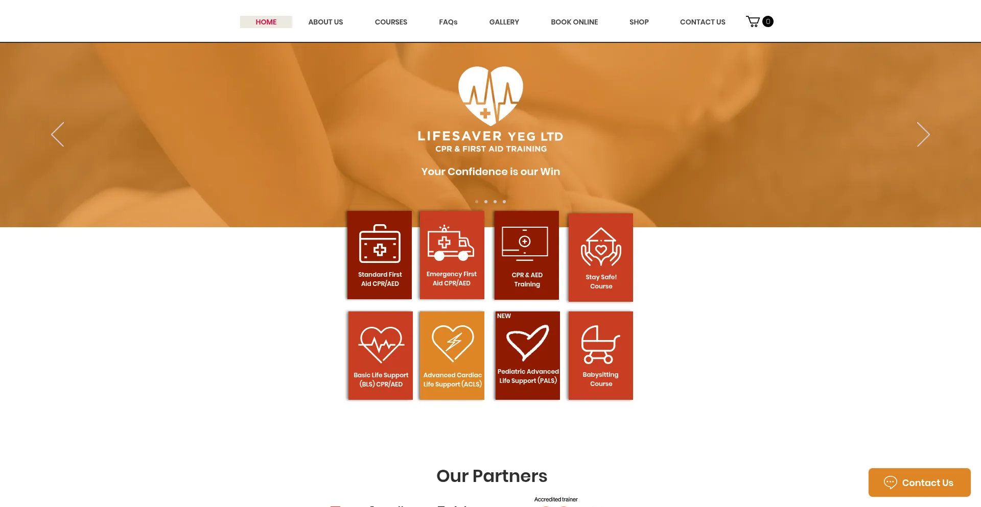 Website screenshot of Lifesaveryeg.com