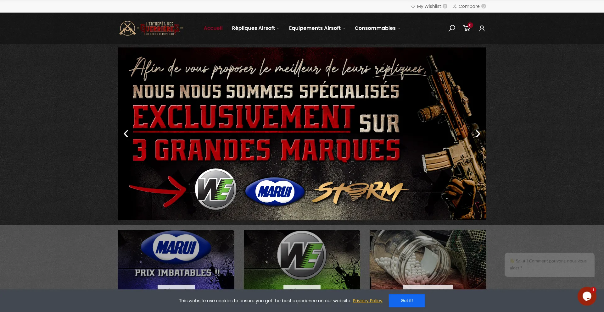 Website screenshot of Lilifolies-airsoft.com