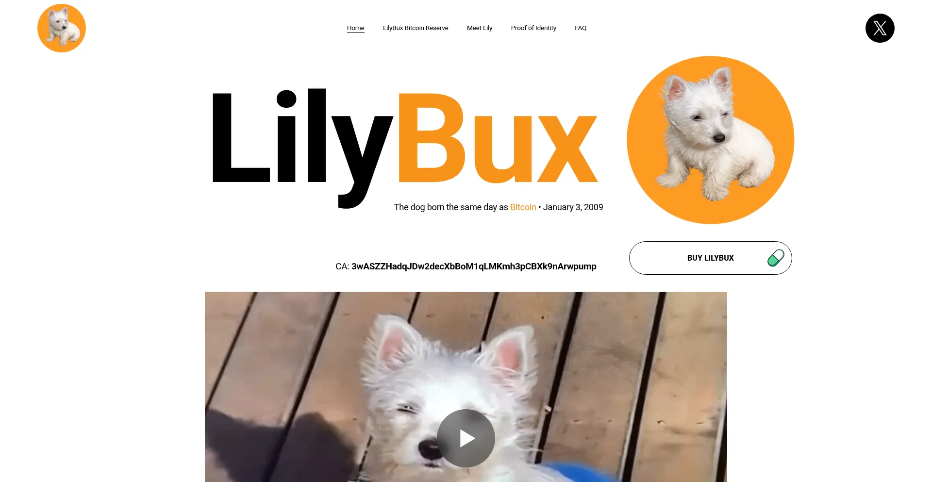 Lilybux.com