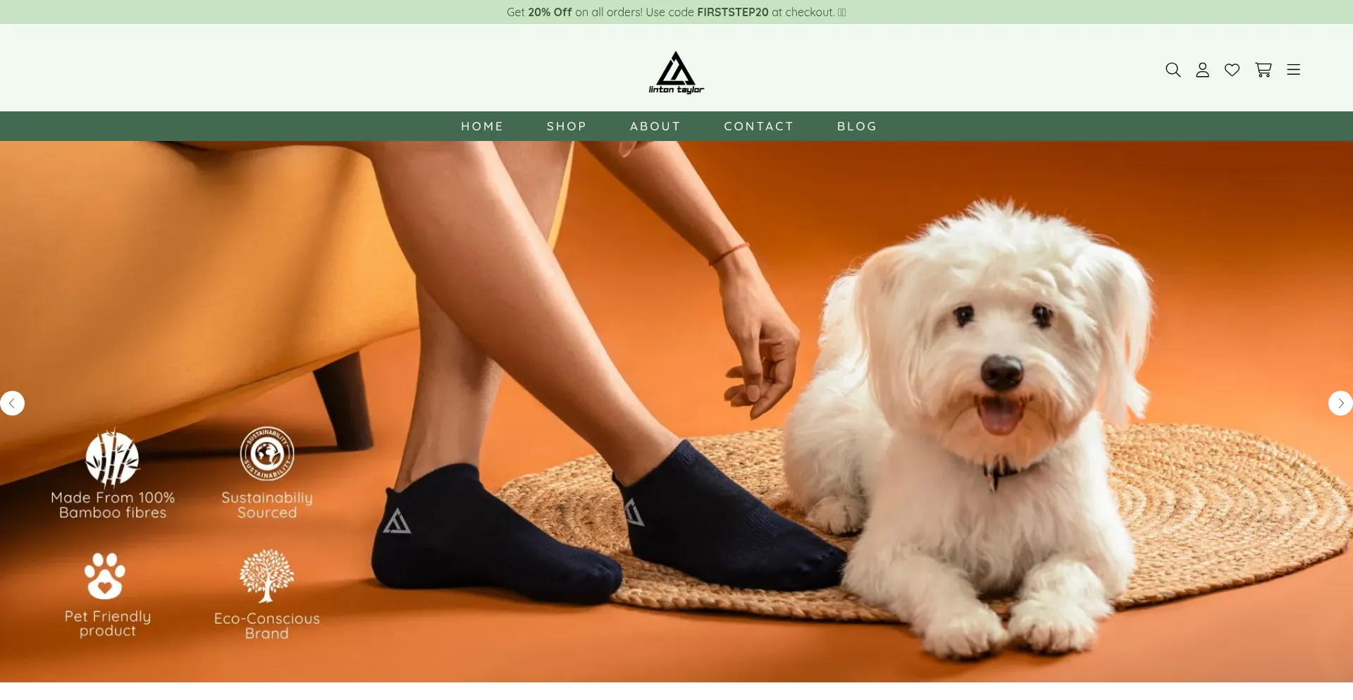 Website screenshot of Lintontaylor.com