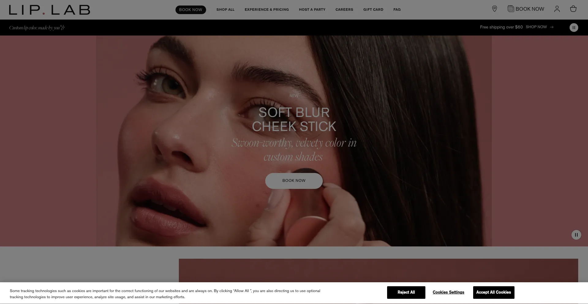 Website screenshot of Liplab.com