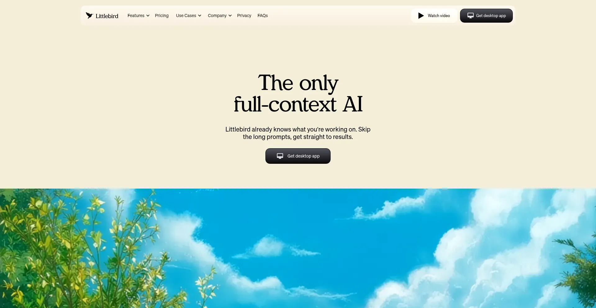 Littlebird.ai