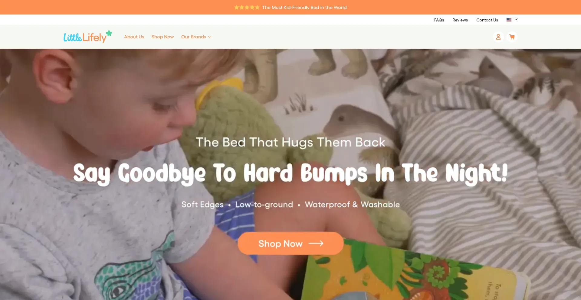 Littlelifely.com