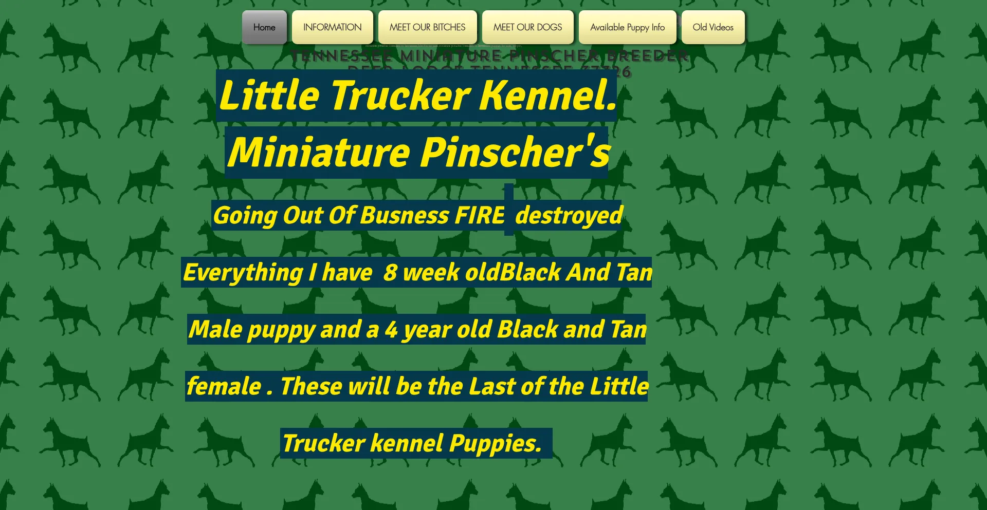 Ist Littletruckerkennel.com sicher und vertrauenswürdig?