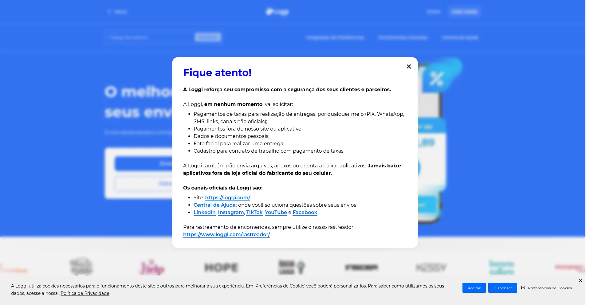 Website screenshot of Loanti.icu