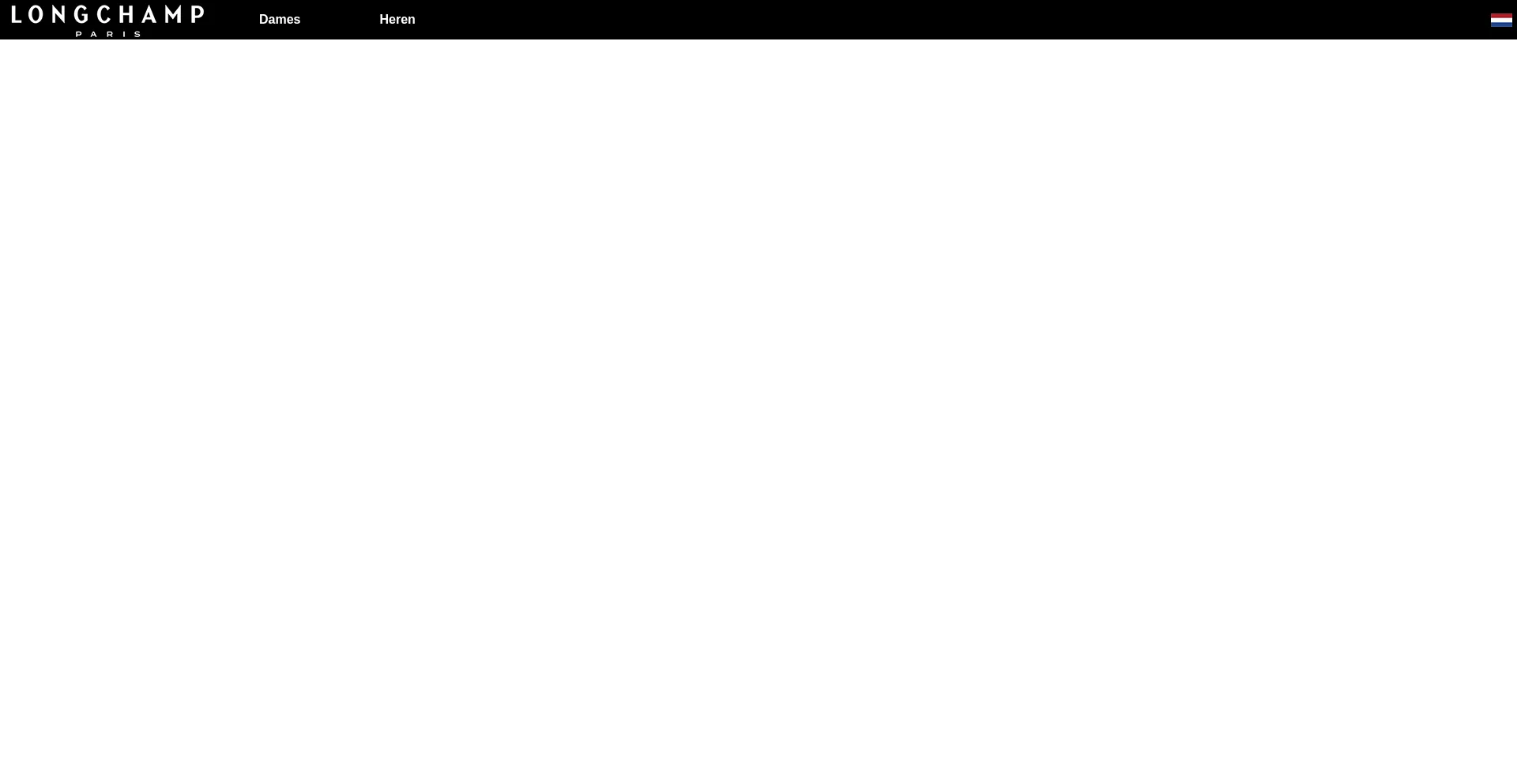 Website screenshot of Longchampnetherlands.com