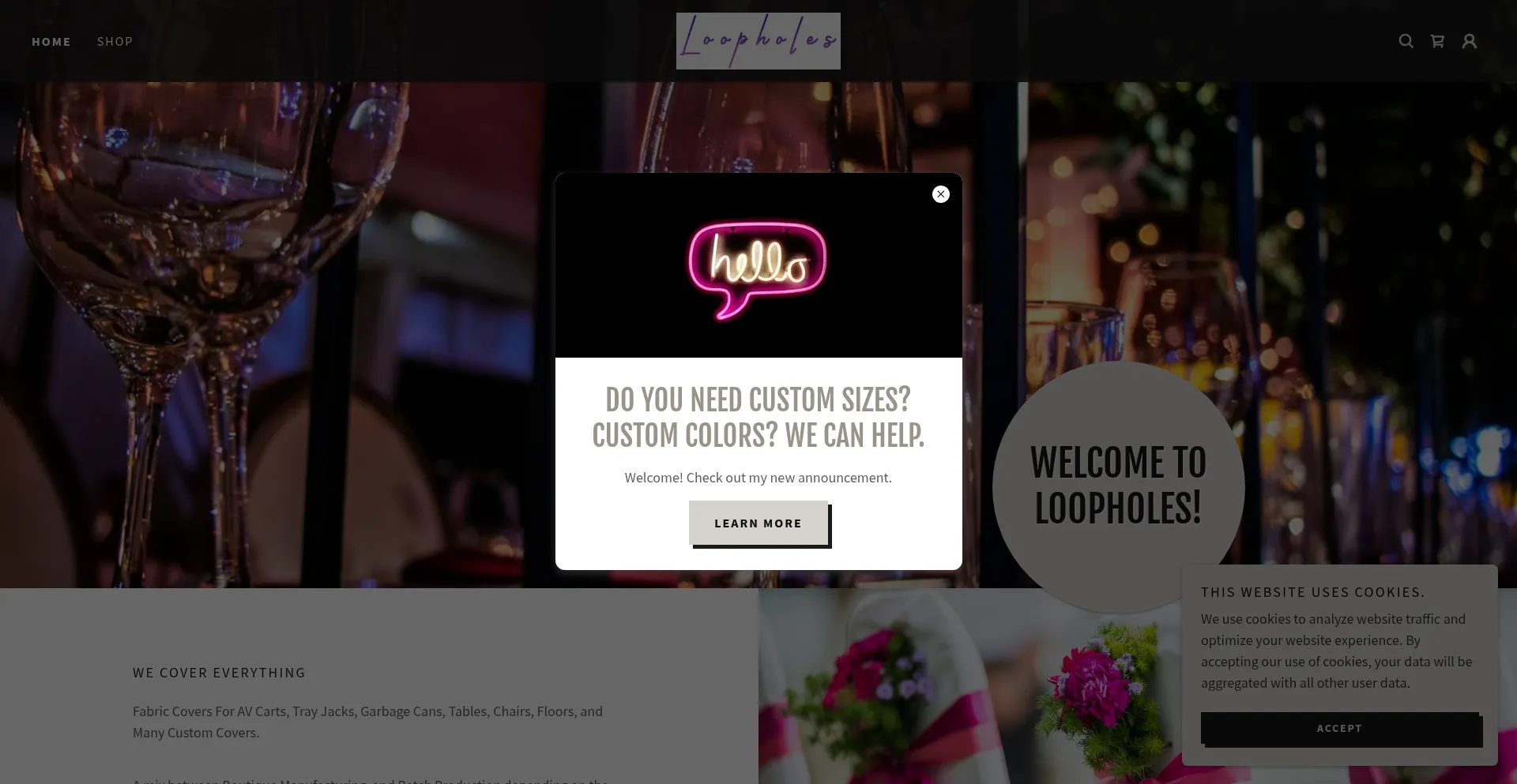 Loopholesllc.com