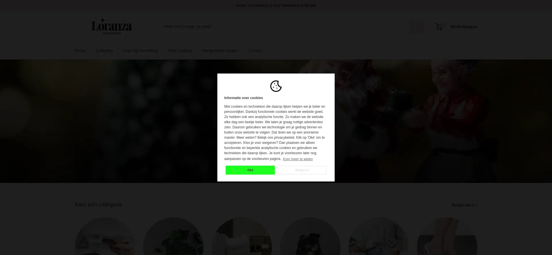 Website screenshot of Loranza.nl