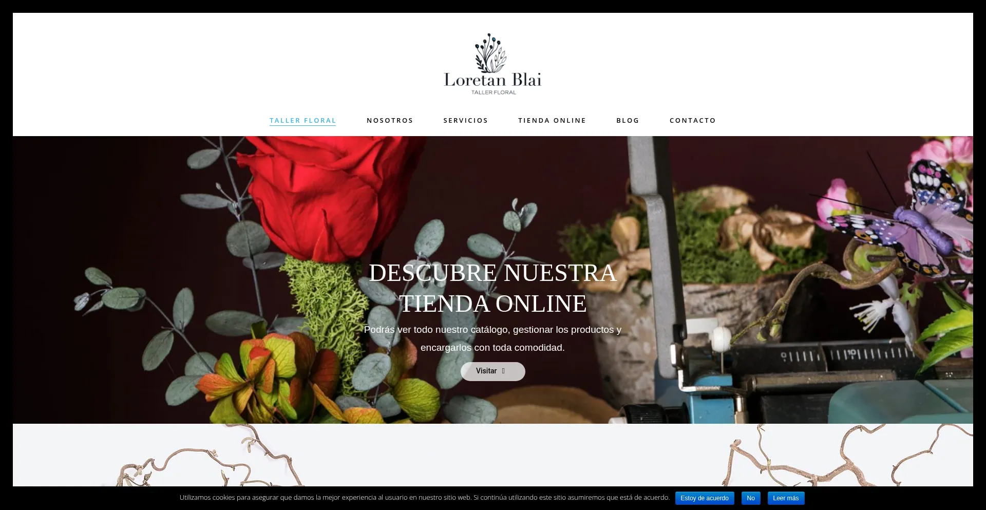 Loretanblai.com Screenshot