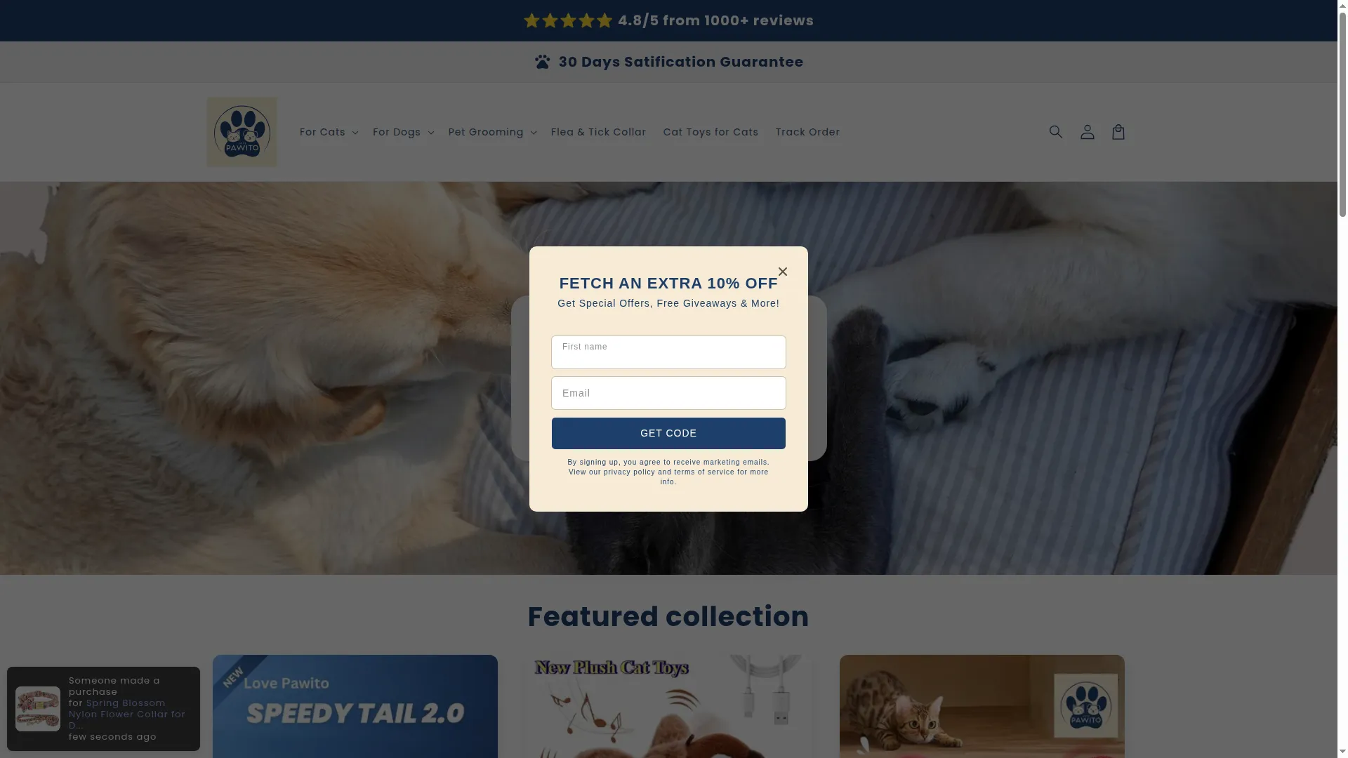 Lovepawito.com