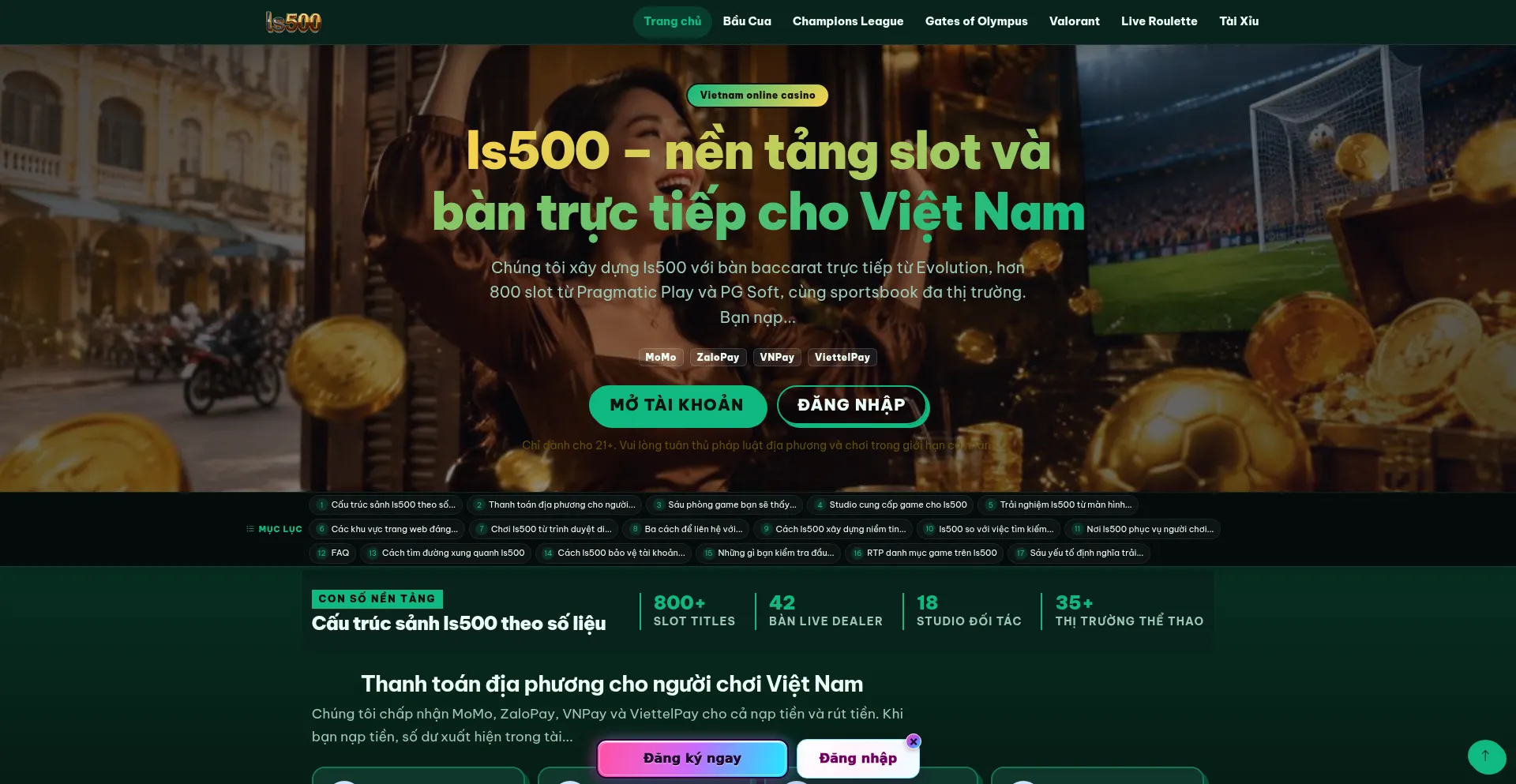 Ls500.net