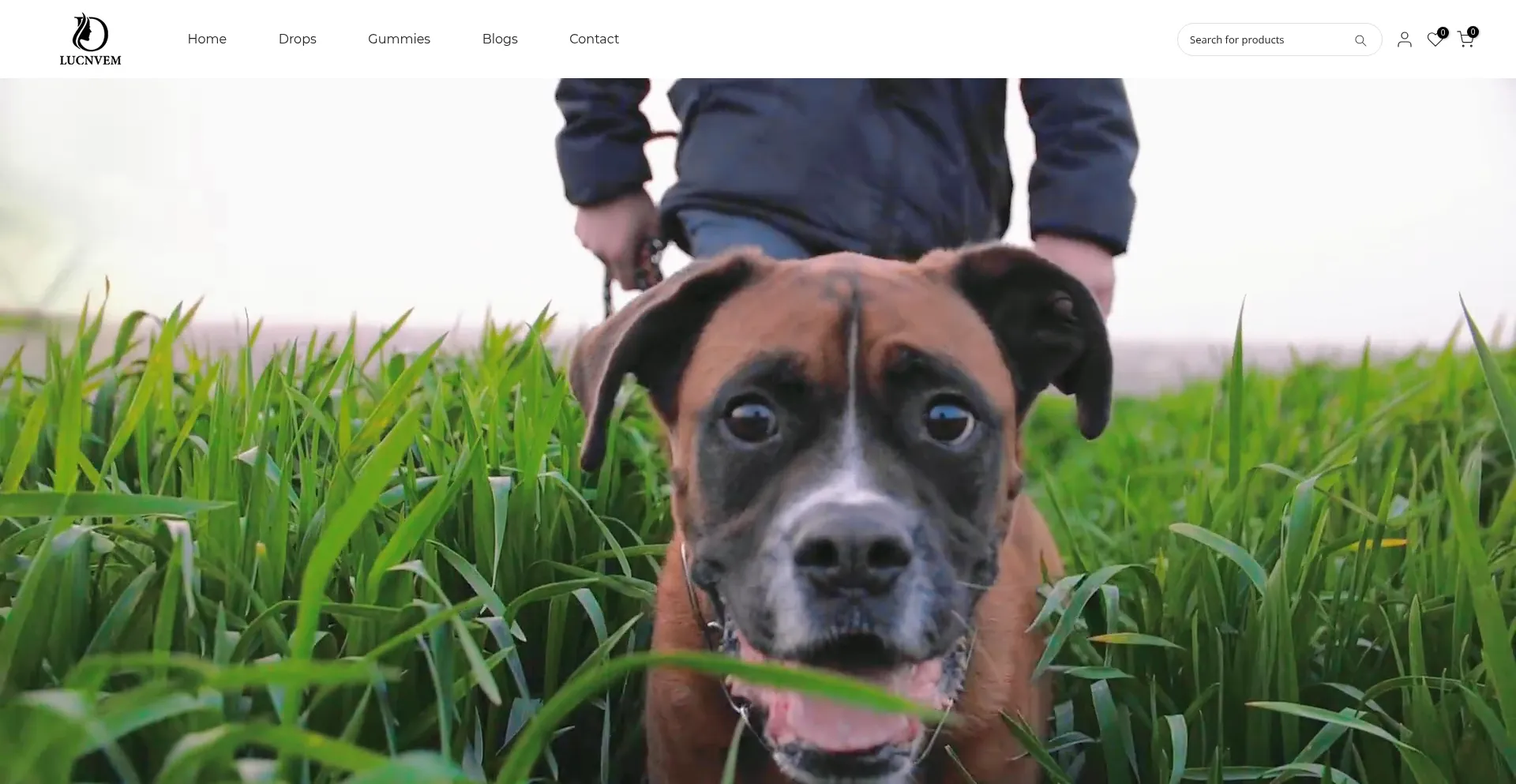Website screenshot of Lucnvem.com