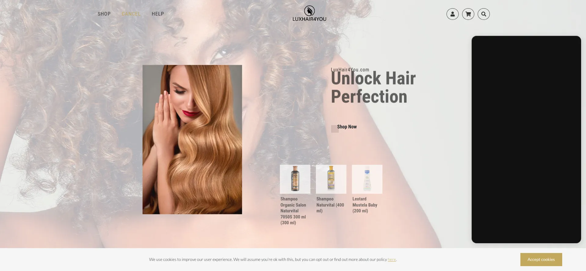 Website screenshot of Luxhair4you.com