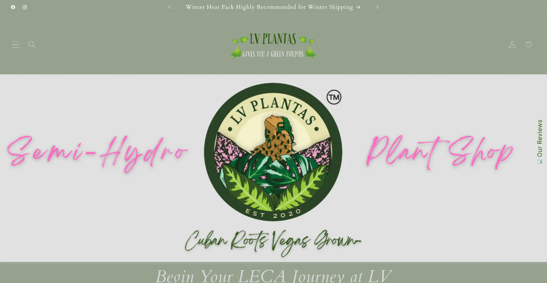 Website screenshot of Lvplantas.com