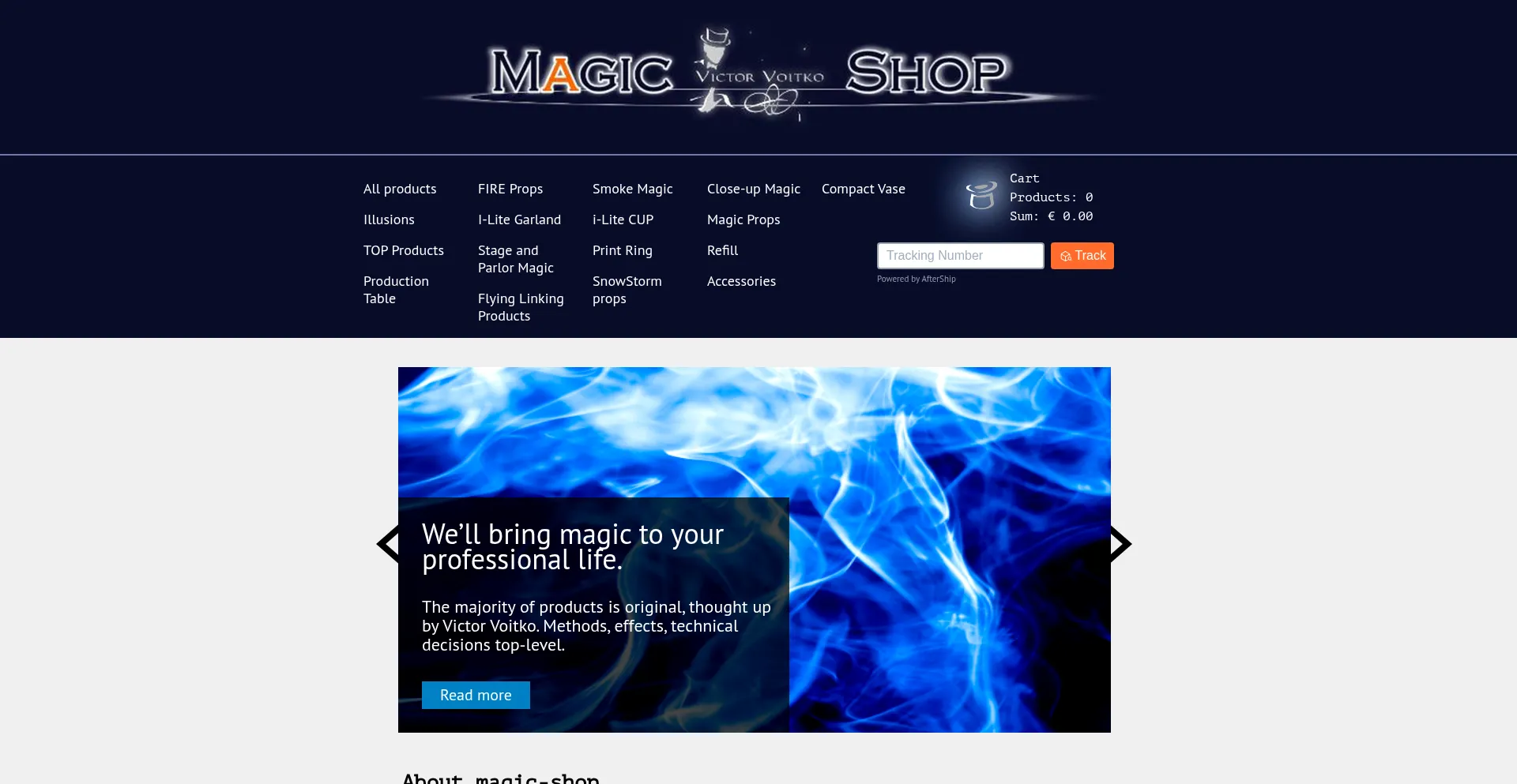Website screenshot of Magic-voitko.com
