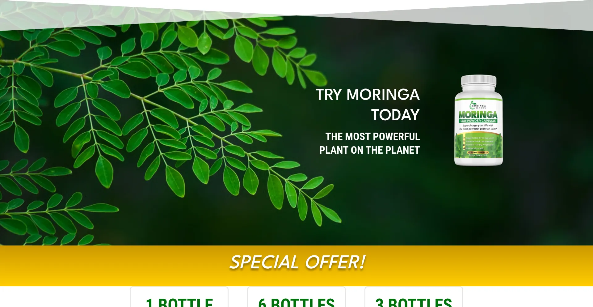 Magicofmoringa.co