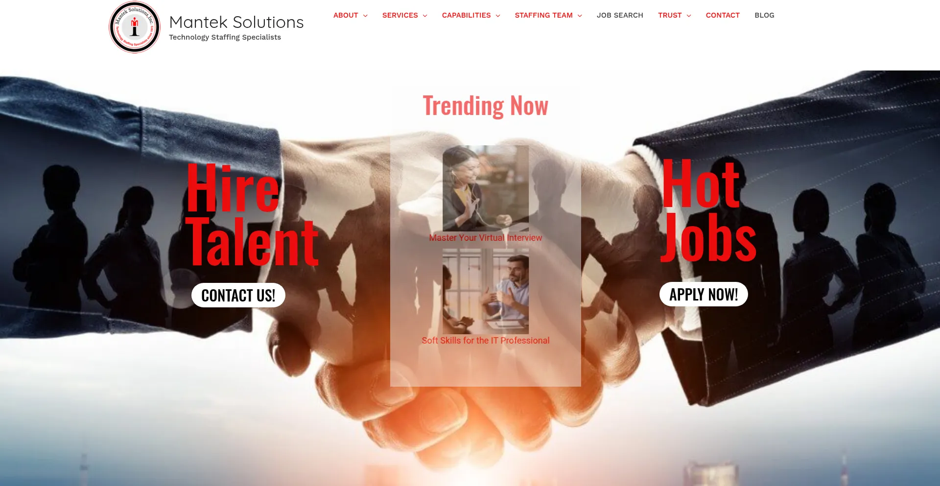 Website screenshot of Manteksolutions.com