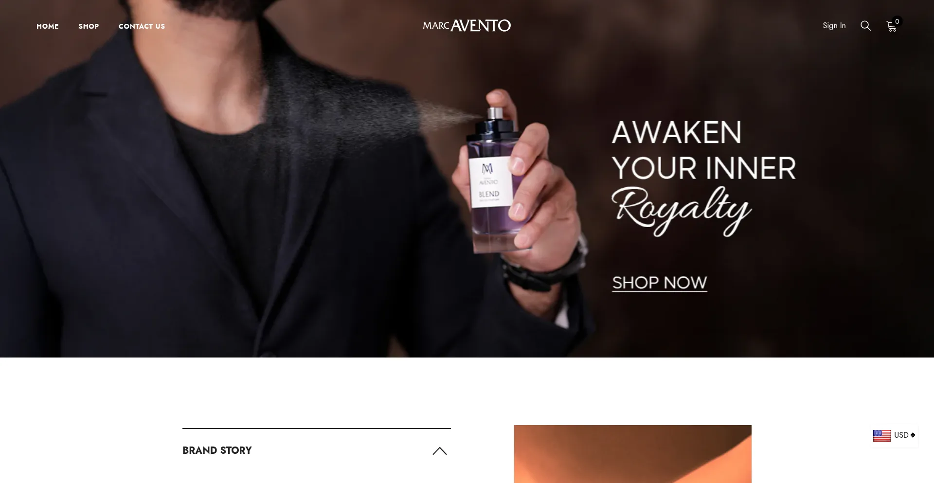 Website screenshot of Marcavento.com