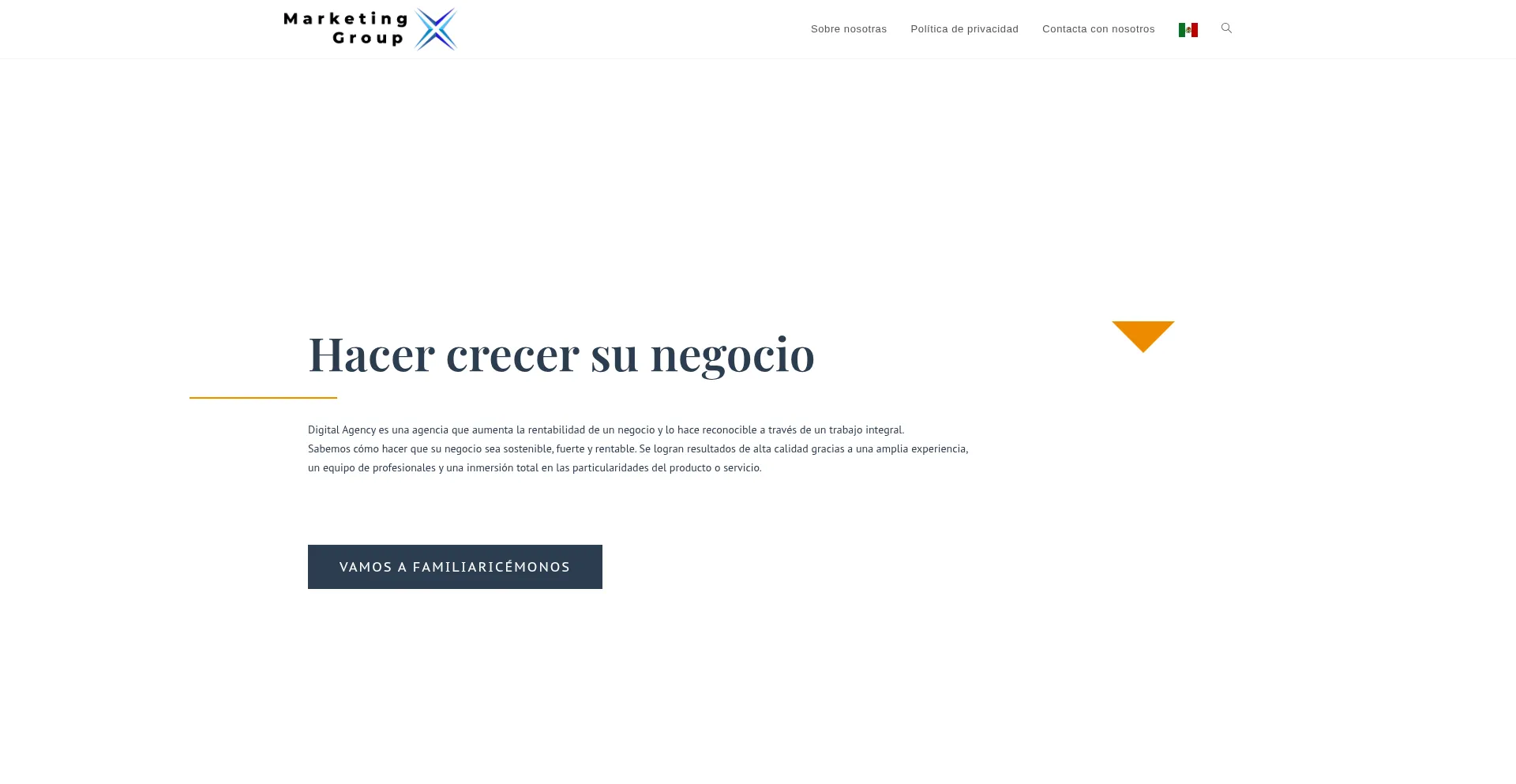 Marketinggroupex.com