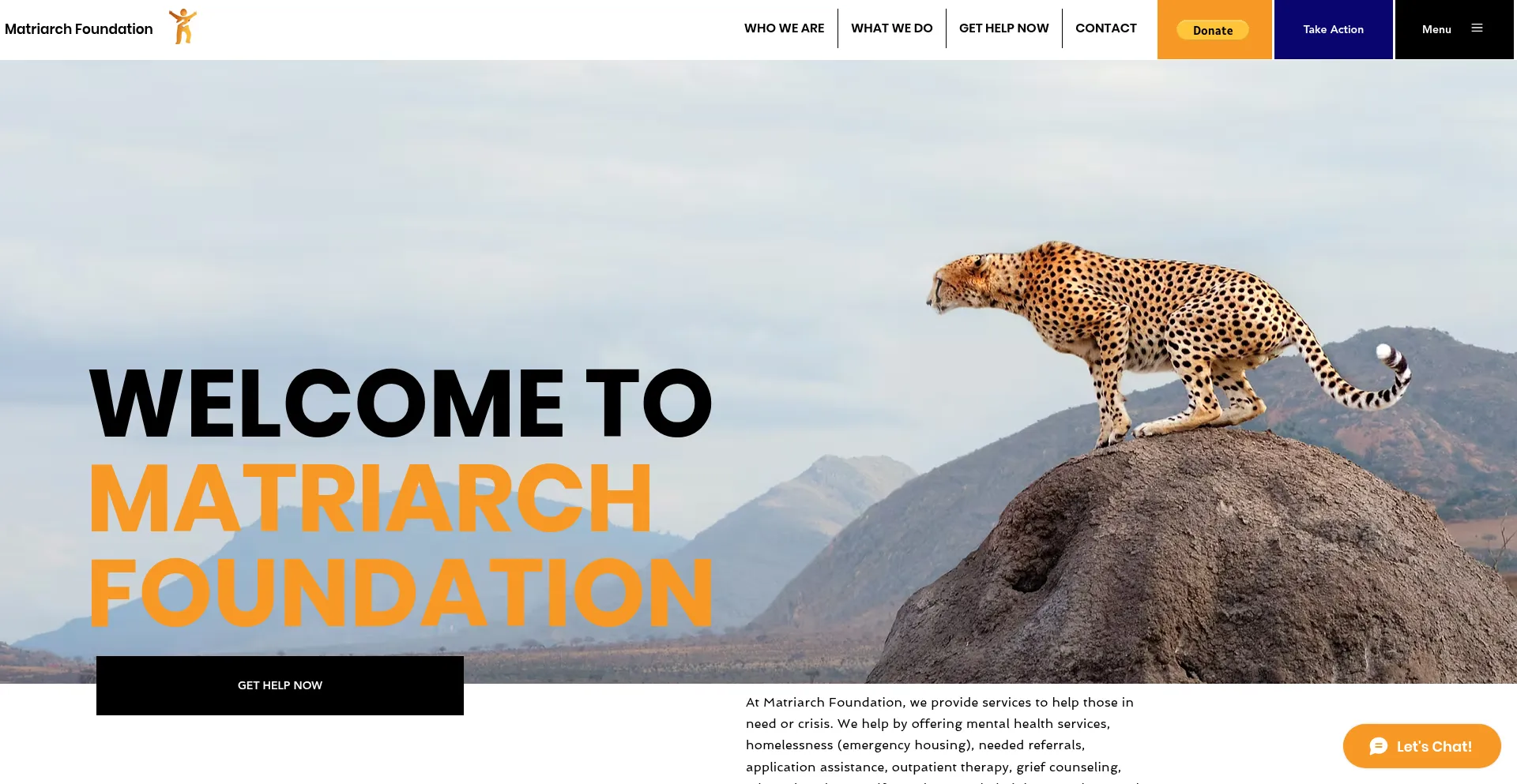 Matriarchcrisisfoundation.com