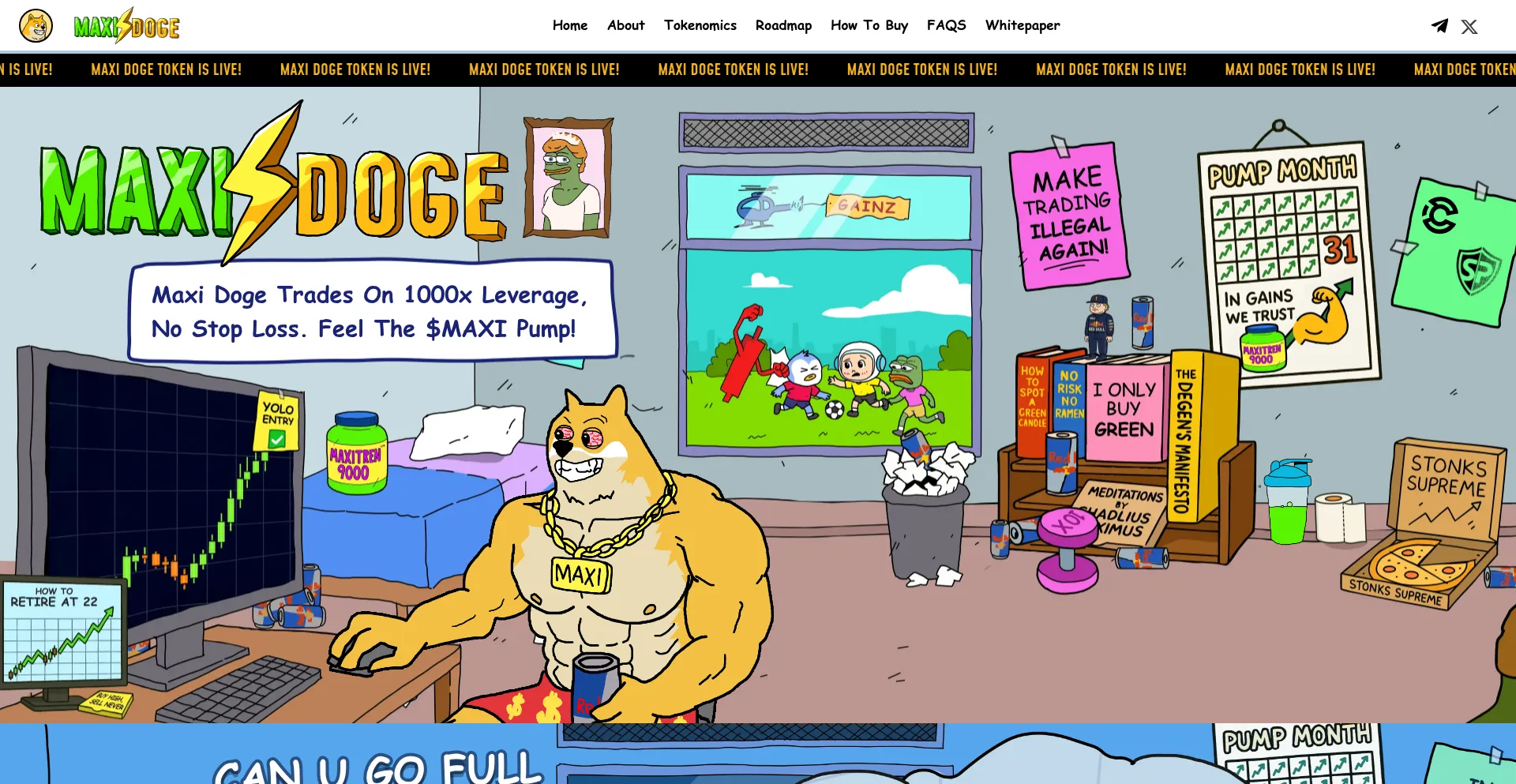 Website screenshot of Maxidogecoin.xyz