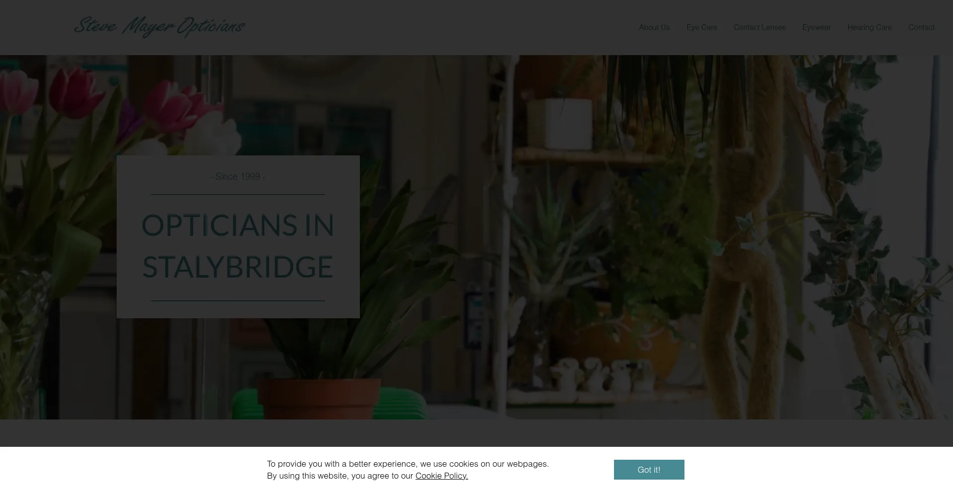 Mayeropticians.co.uk