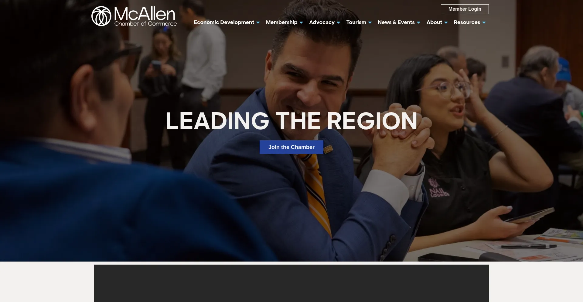 Mcallen.org Screenshot