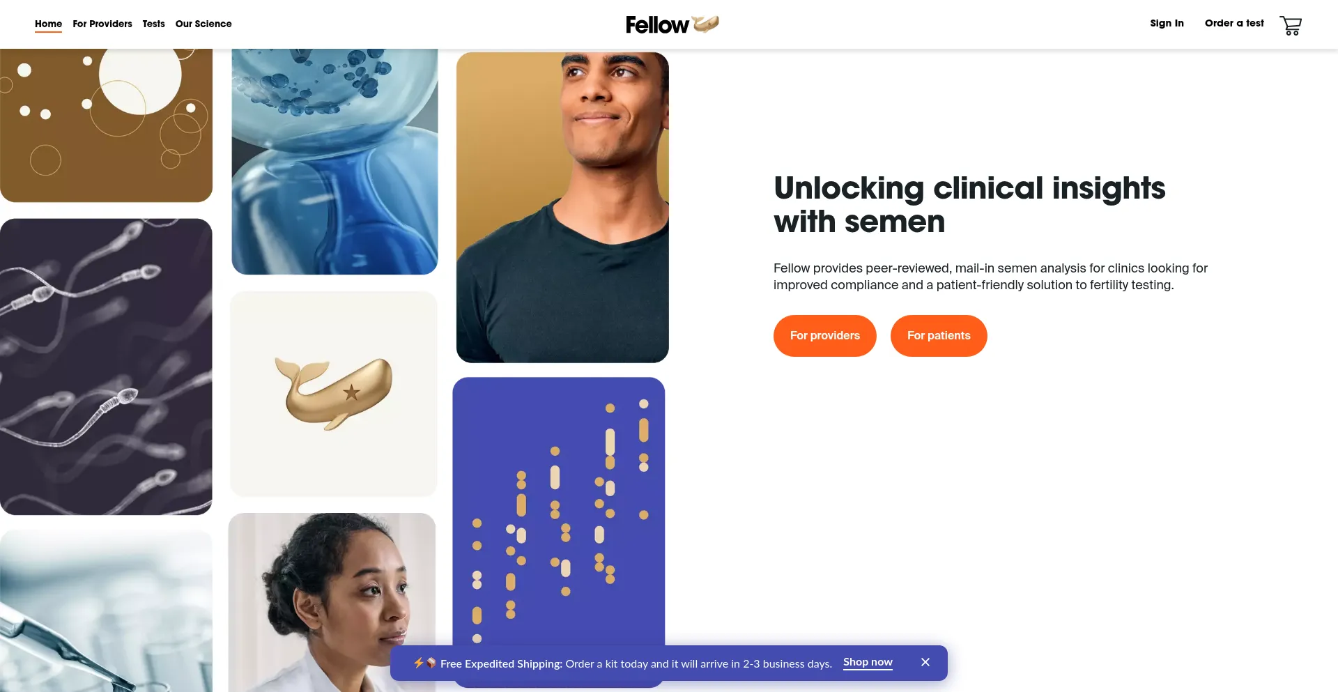 Ist Meetfellow.com sicher und vertrauenswürdig?