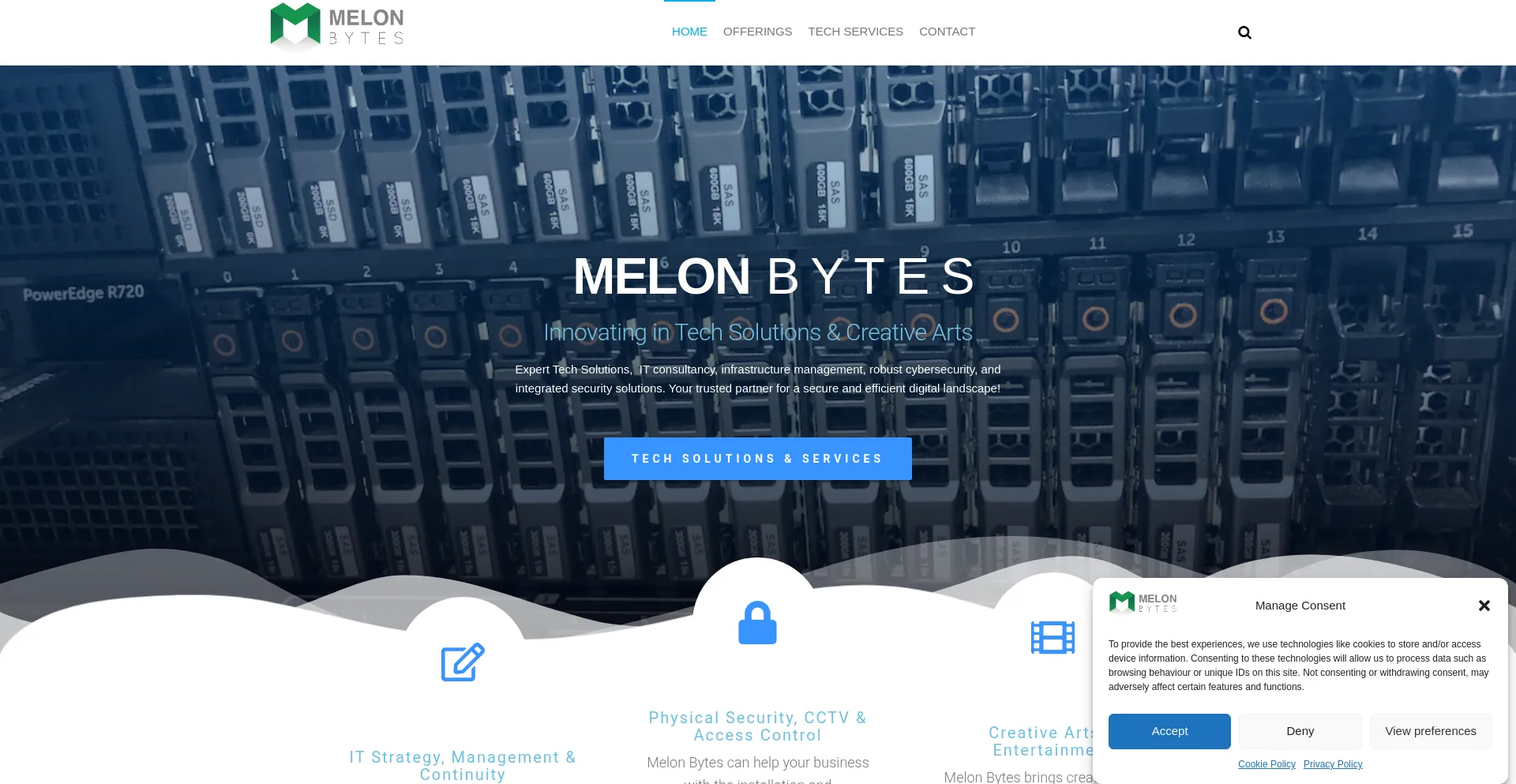 Website screenshot of Melonbytes.com