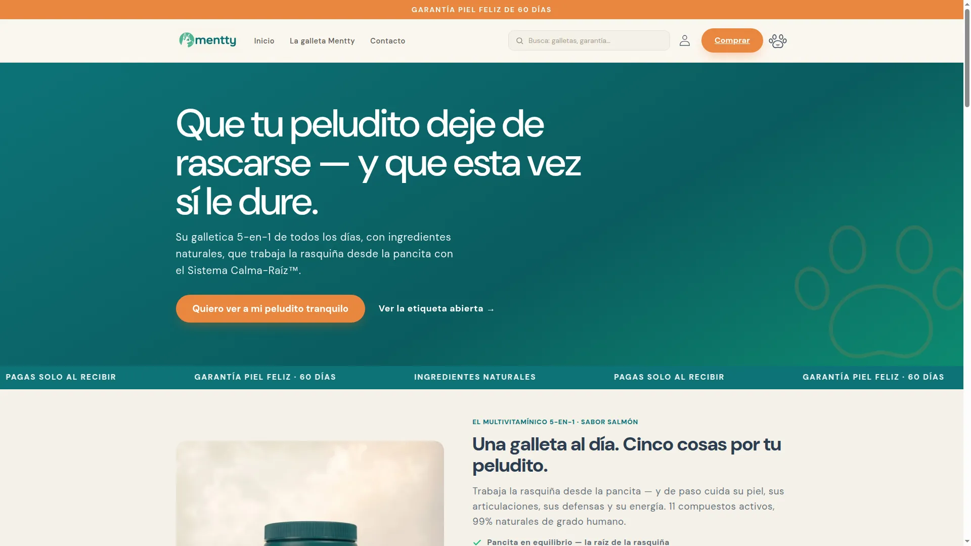 Mentty.co