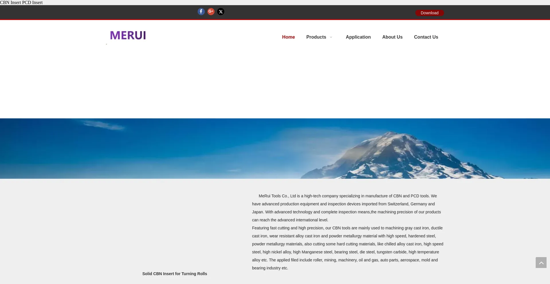 Website screenshot of Meruitools.com