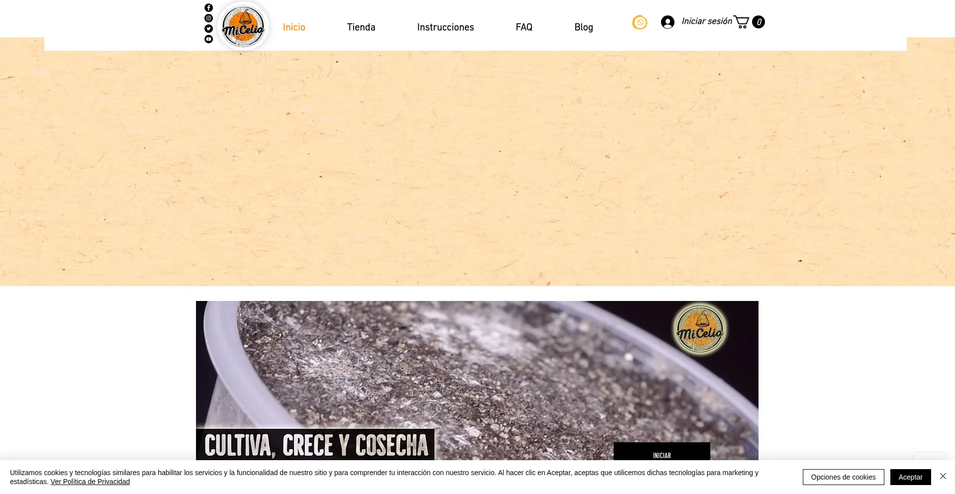 Website screenshot of Micelio.co