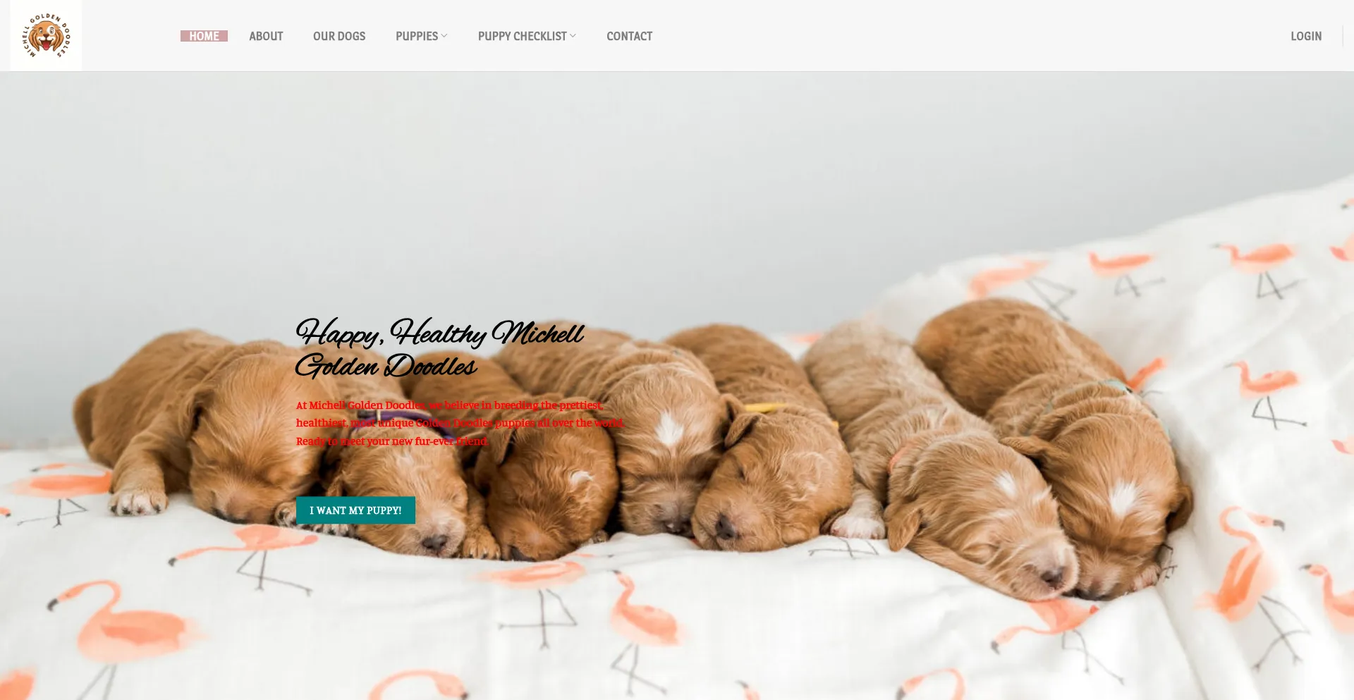 Website screenshot of Michellgoldendoodles.com