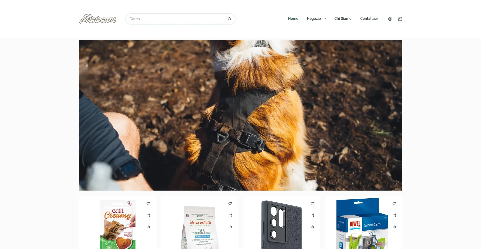 Miciocam.com