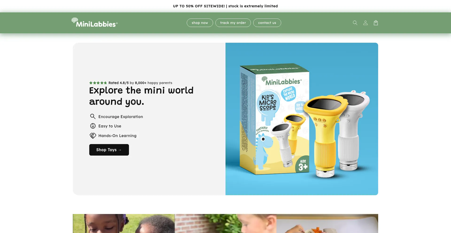 Website screenshot of Minilabbies.com
