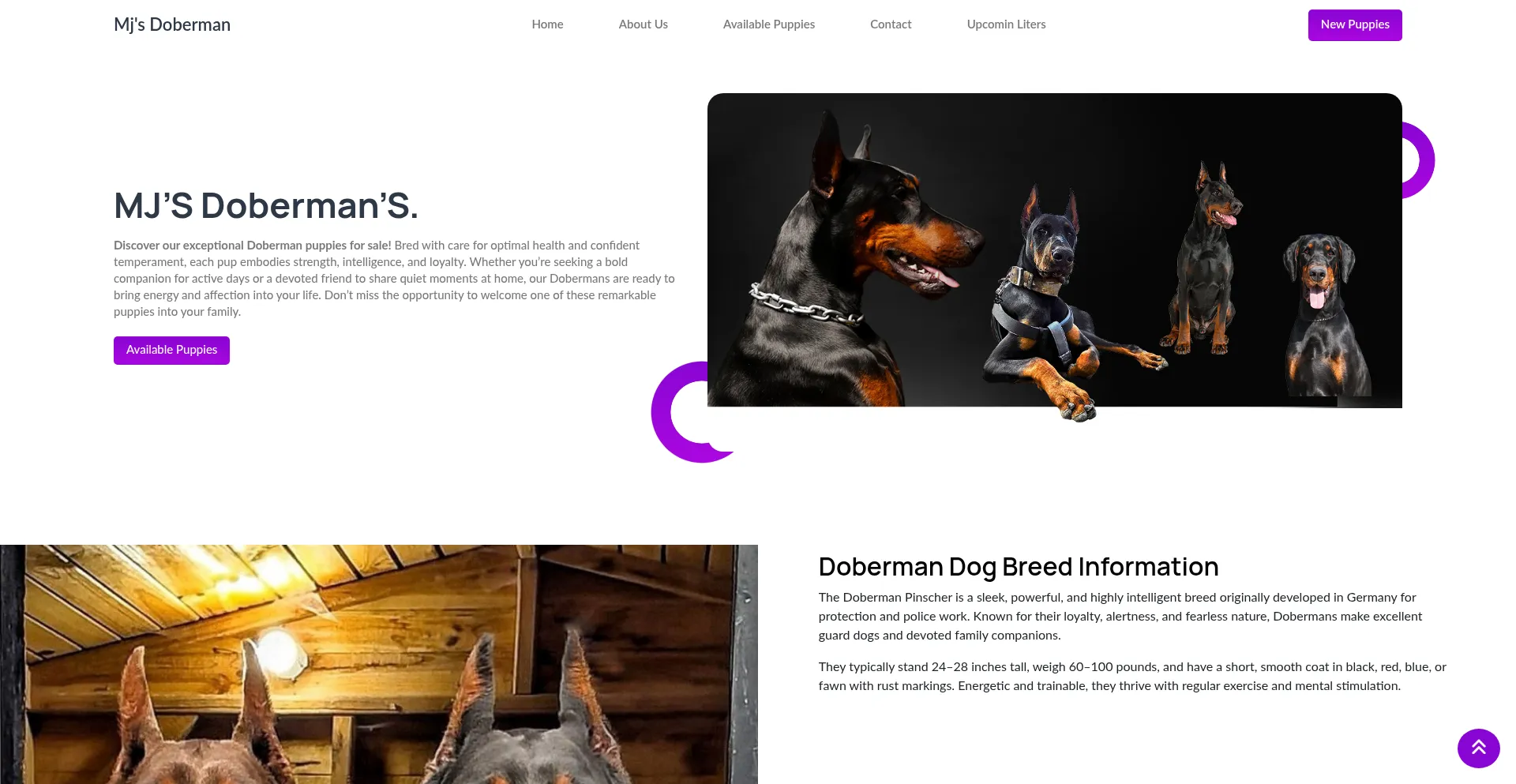 Mjdobermans.com Screenshot