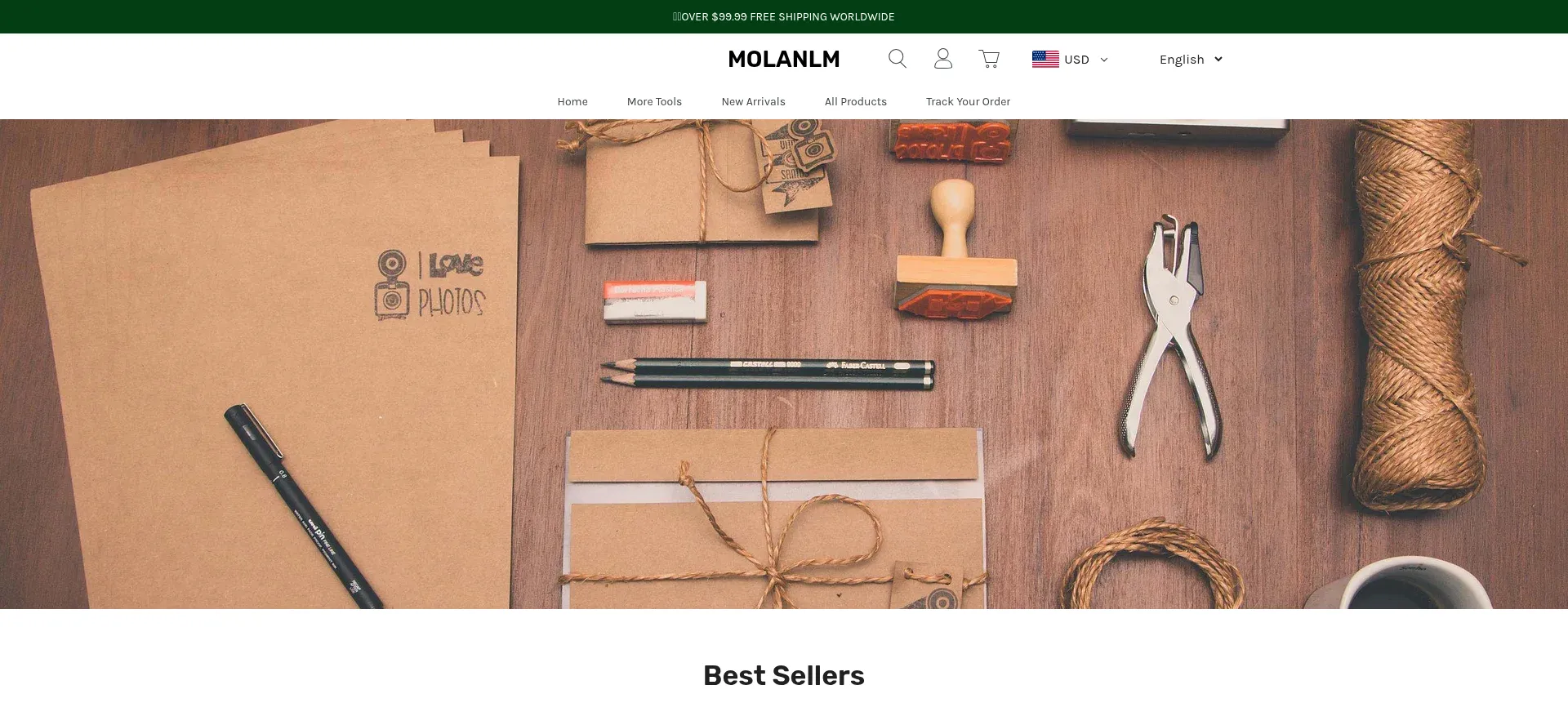 Website screenshot of Molanlm.com