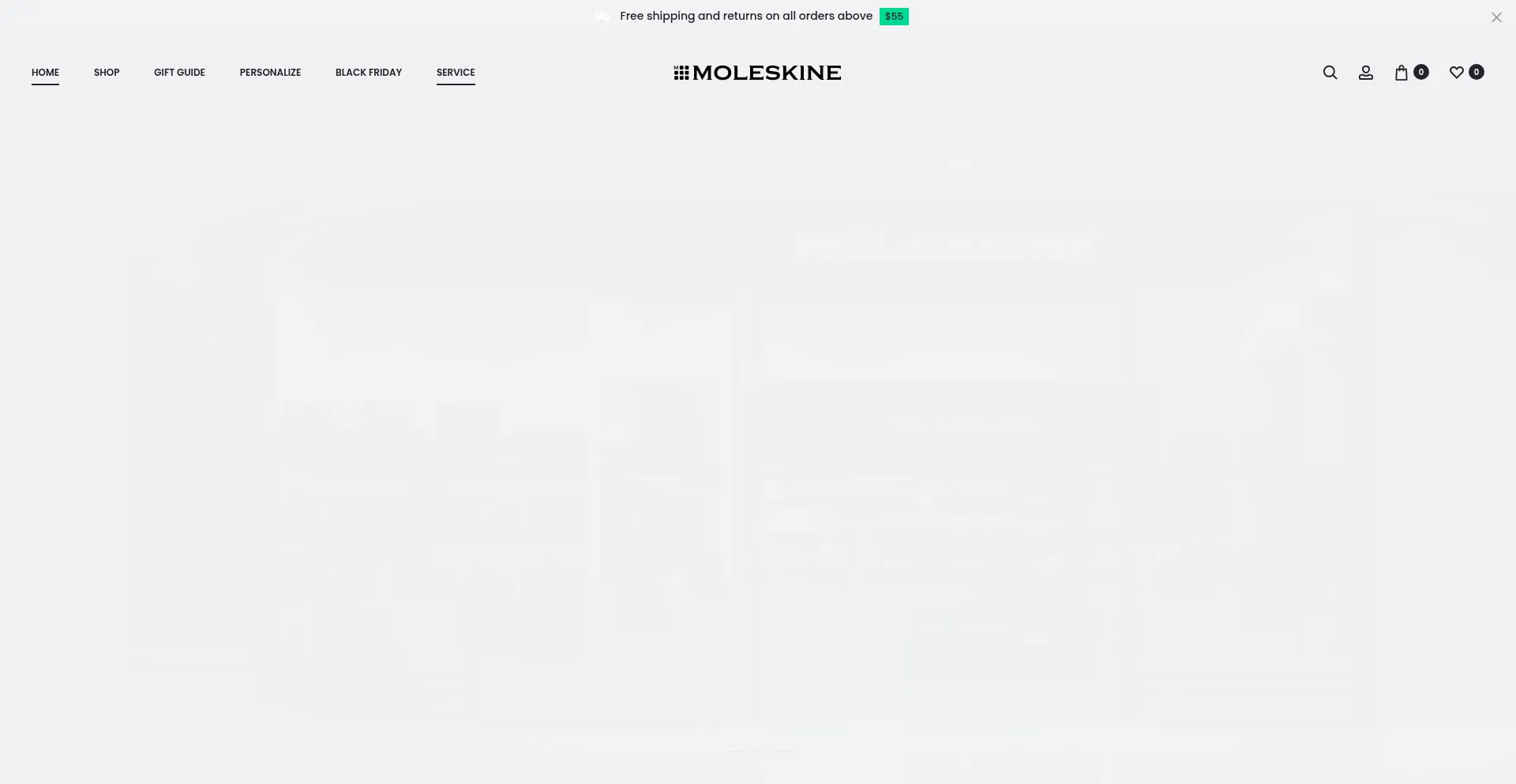 Website screenshot of Moleskines.us