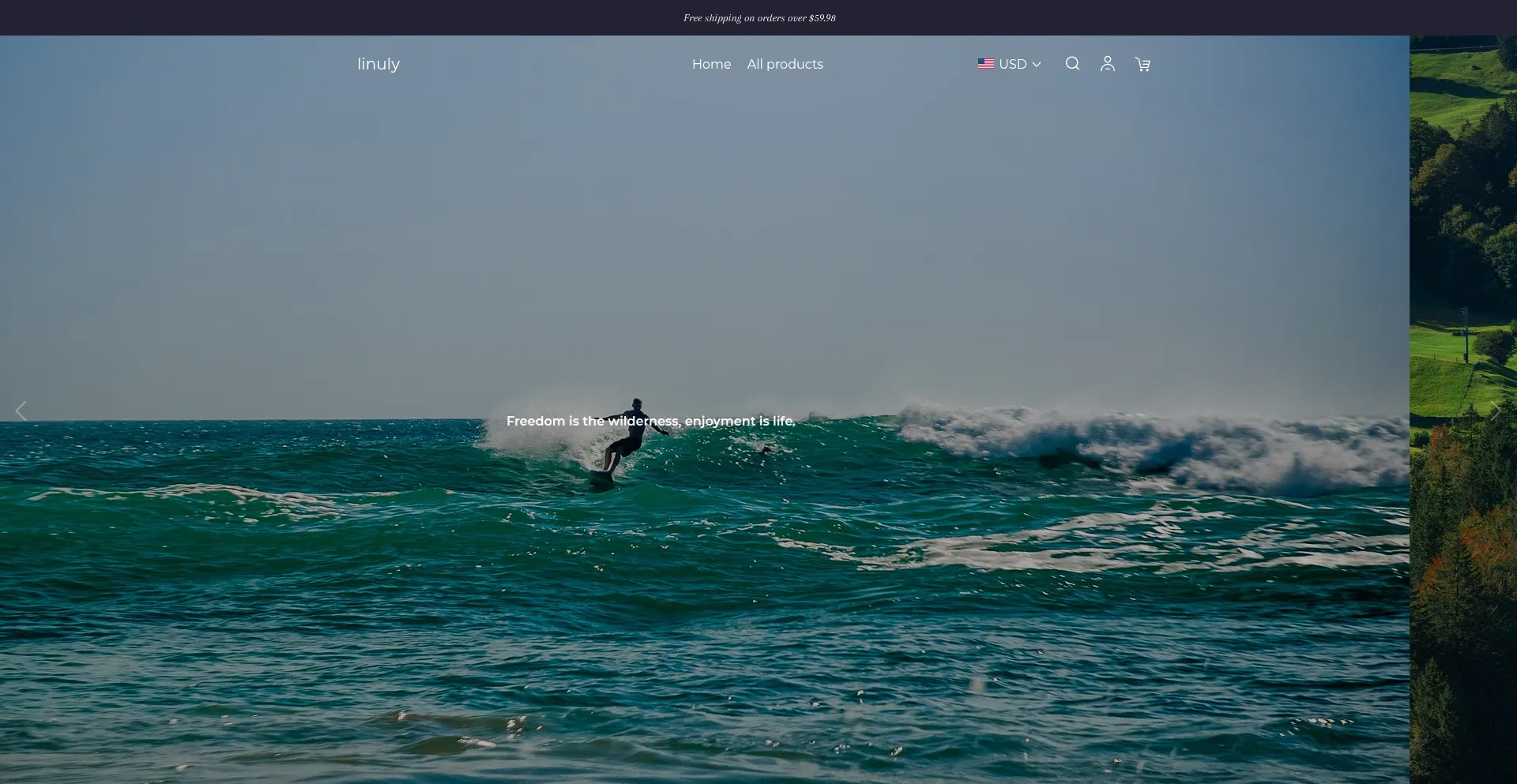 Website screenshot of Moniliy.com