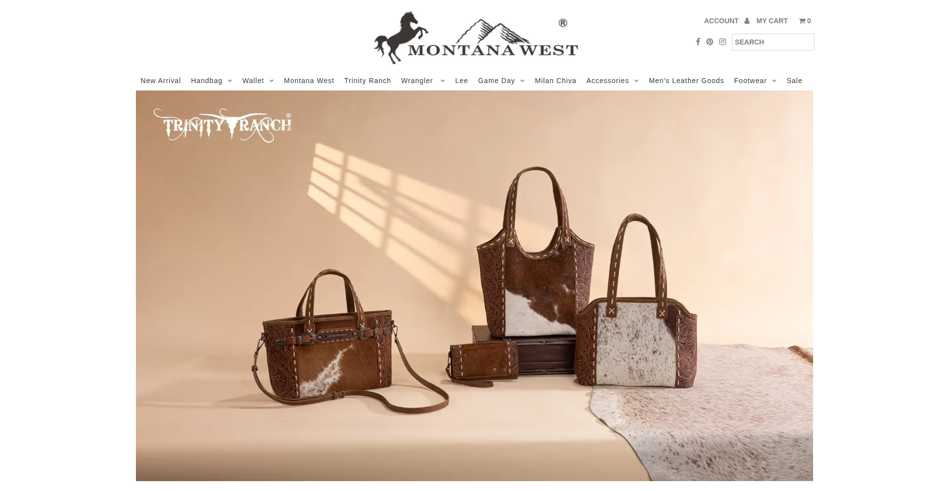Montanawestusa.com Screenshot