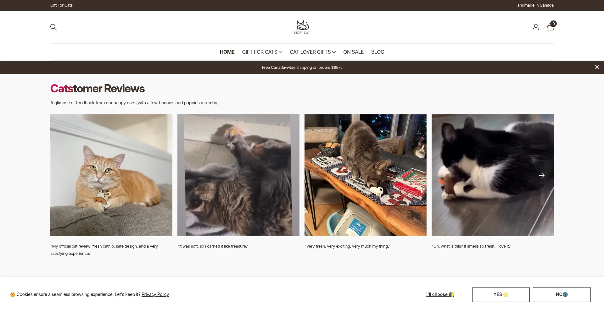 Moricat.com