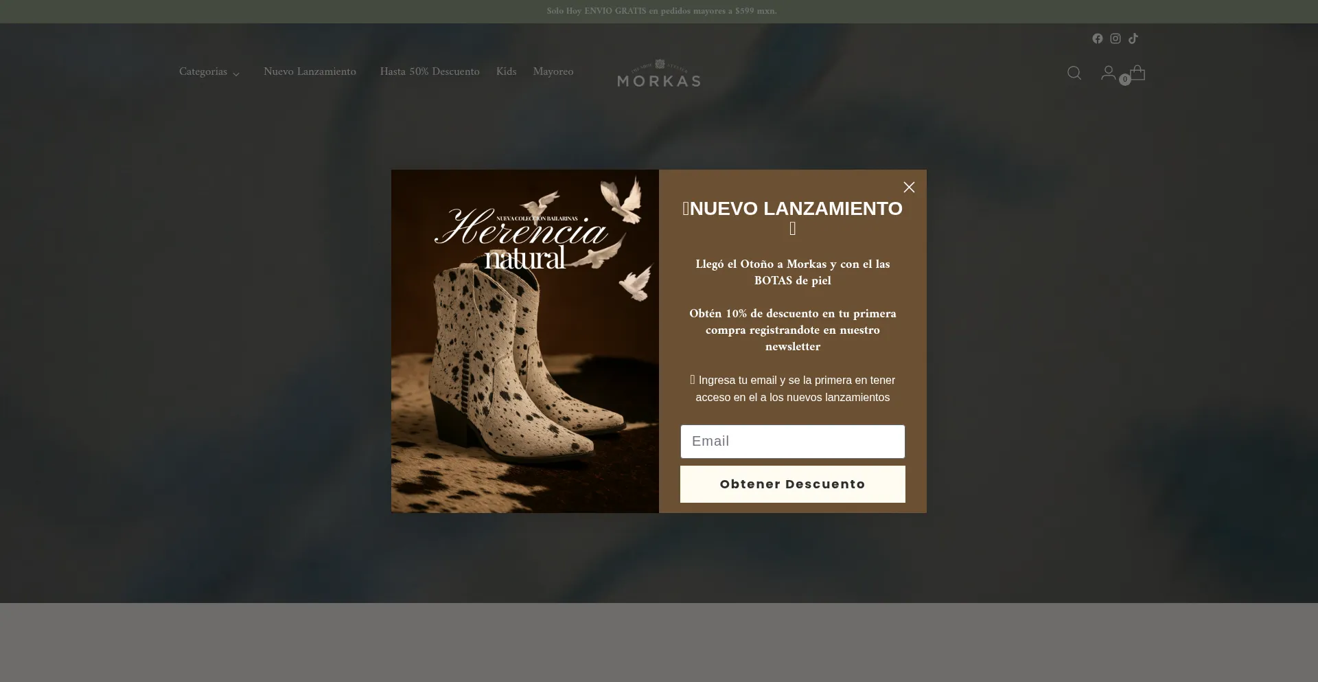 Ist Morkasshoes.com sicher und vertrauenswürdig?