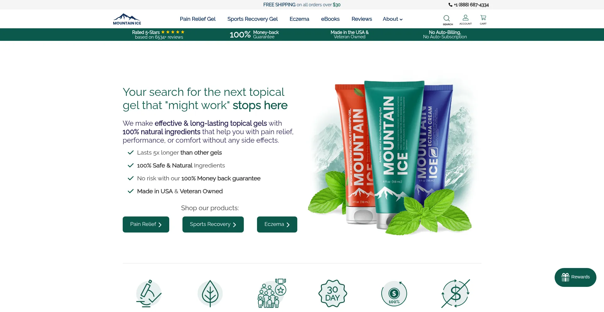 Mountain-ice.com Screenshot