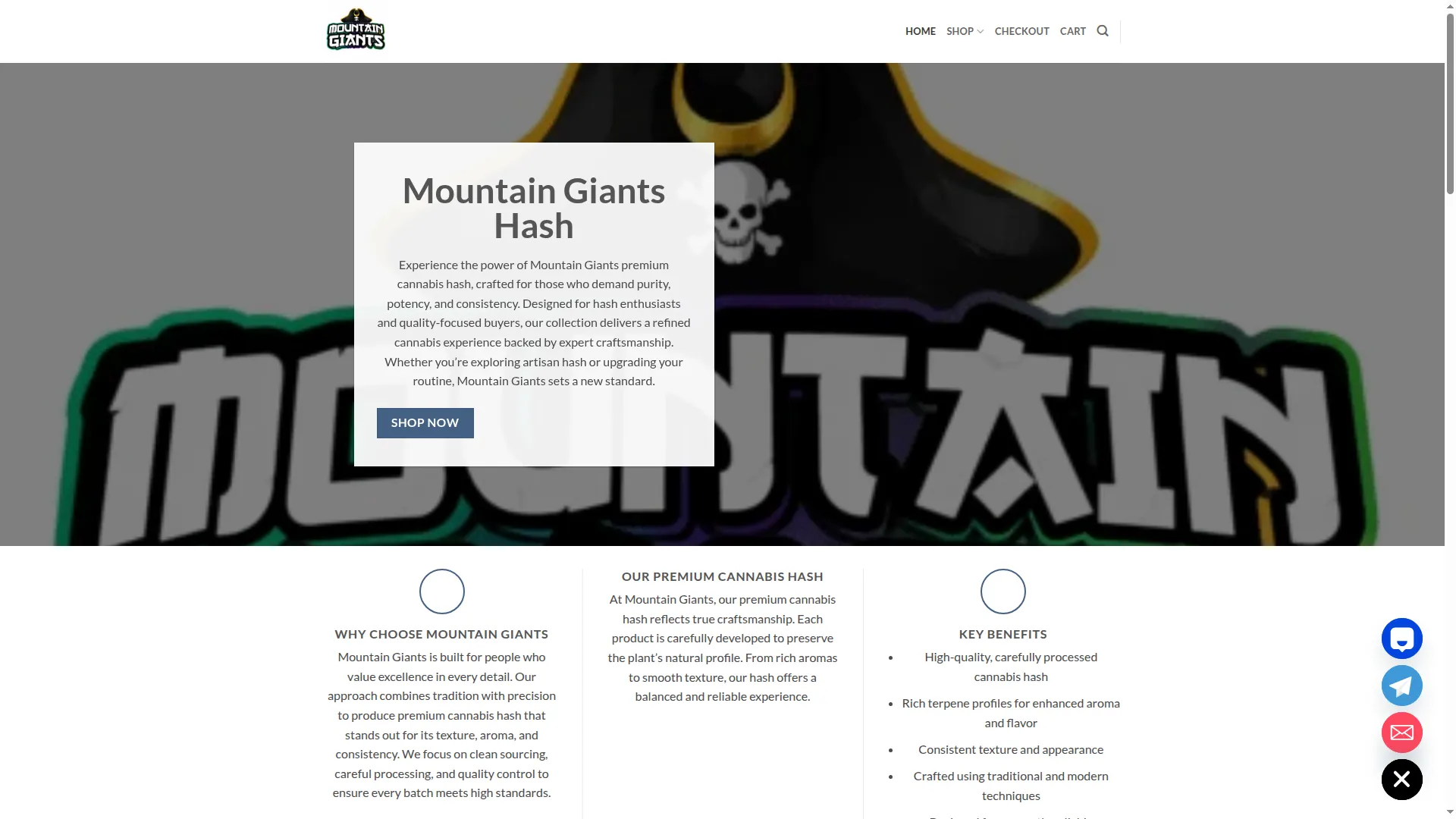 Mountaingiantshashofficial.com