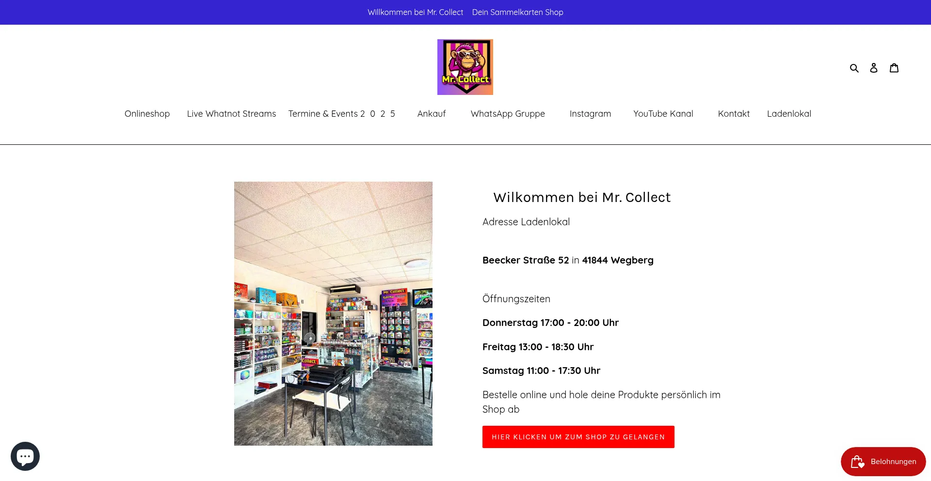 Website screenshot of Mr-collect.de